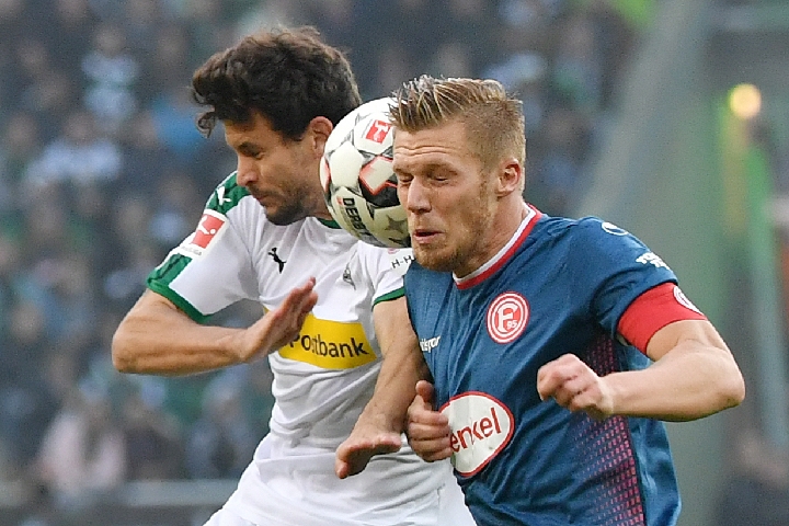 所营造的团 所营造的团