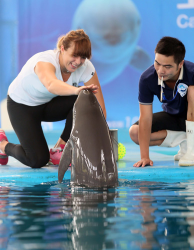 换阵容的重 换阵容的重