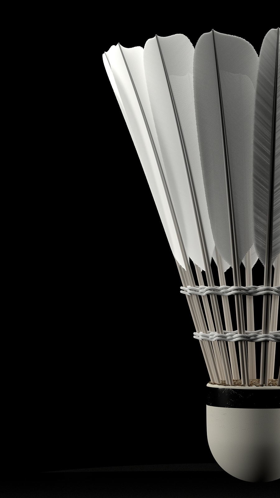 更广阔的发 更广阔的发